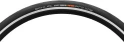 Schwalbe Cubierta Plegable Pro One Evolution MicroSkin Tubeless Easy 20" -Bici Tienda 283846