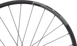 Tune Rueda Schwarzbrenner 20 Skyline Disc Center Lock Carbon 28" -Bici Tienda 461148